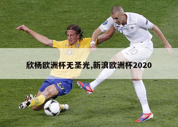欣杨欧洲杯无圣光,新浪欧洲杯2020